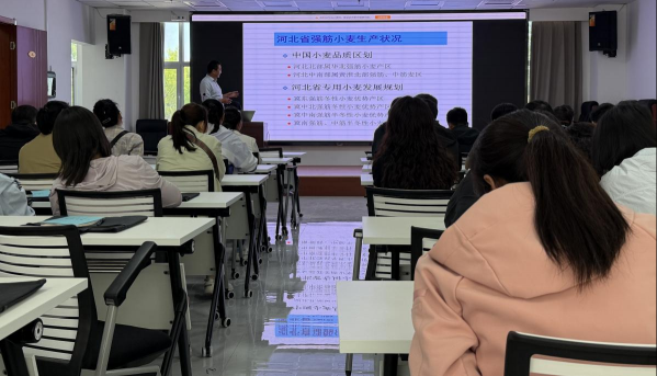 图片1_001.png