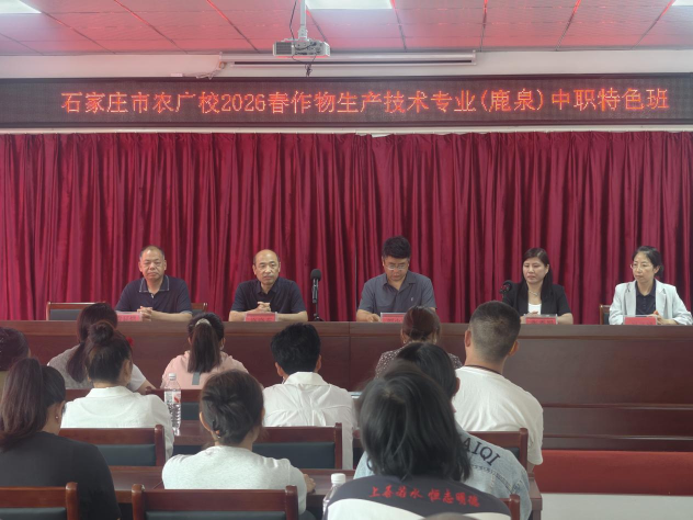 图片1_001.png